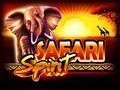 Safari Spirit